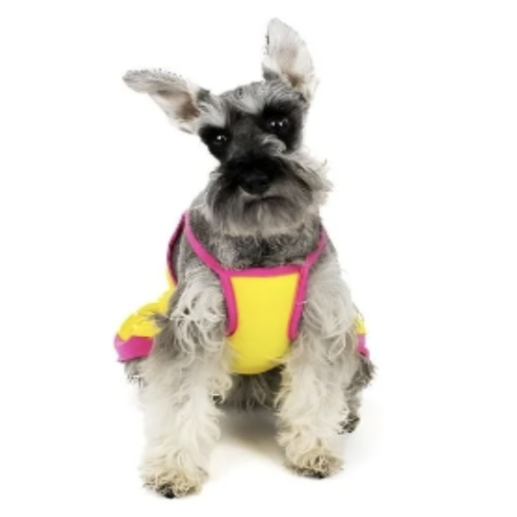 3/$20🌟 Vibrant Life Yellow Pink White Polka Dot Yorkie Dog Dress Size XXS - Picture 2 of 6